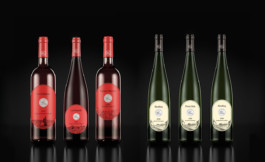 Click Click Graphics